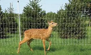  HOW TO EFFECTIVE DEER FENCES?