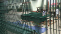 China supplier 358 security fence