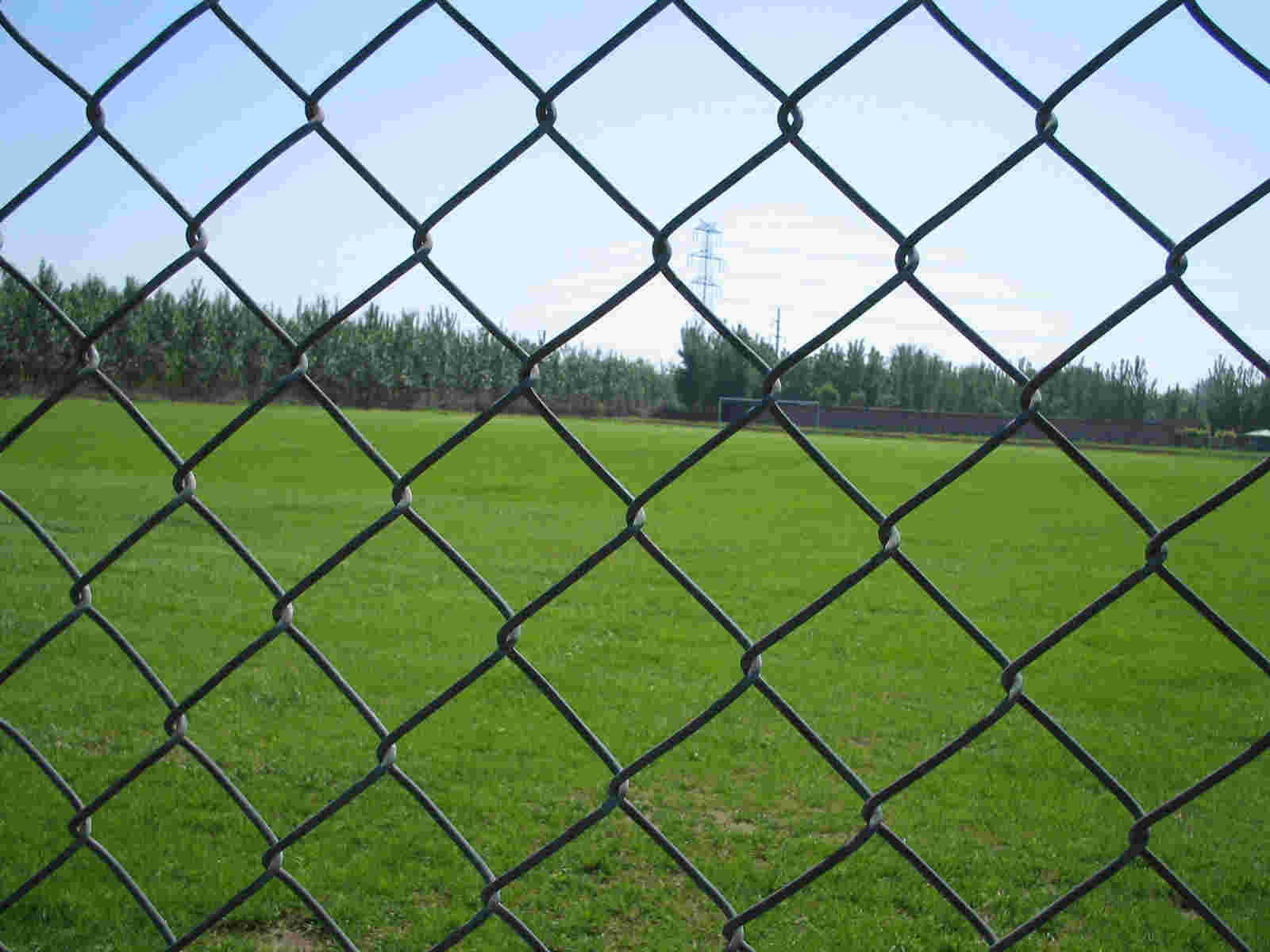 The green chain link flower net is generally selected from the low-cost modified wire hook flower net or the cold galvanized chain link net.