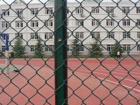 Surface treatment of chain link fence