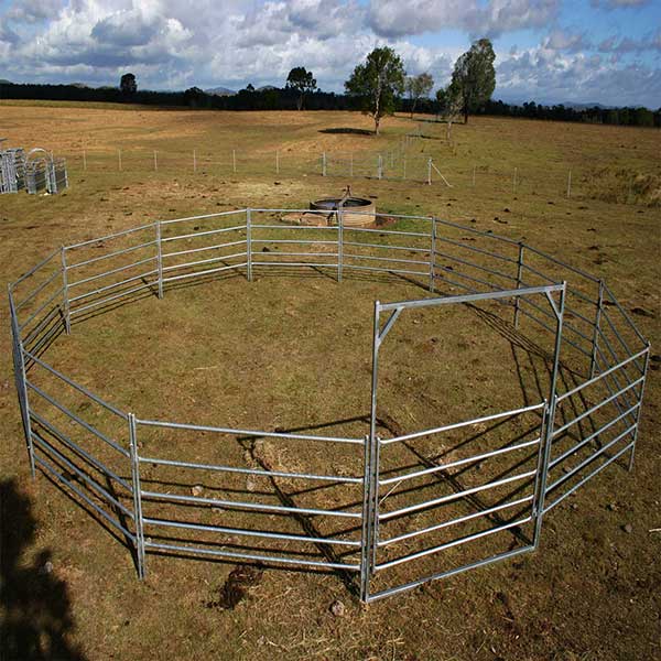 The different of the cattle fence and sheep fence