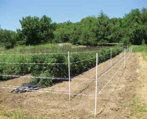 how to choose the right diy garden fence for your needs?