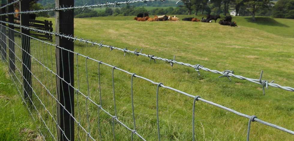 Farm Fence