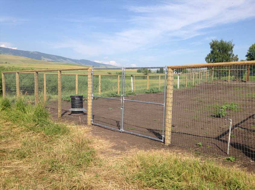 Cattle Mesh Fences - An Ideal Choice for Agriculture and Ranching