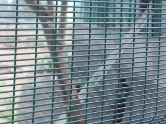 What Is 358 Security Fence and Why Is It Called 358?